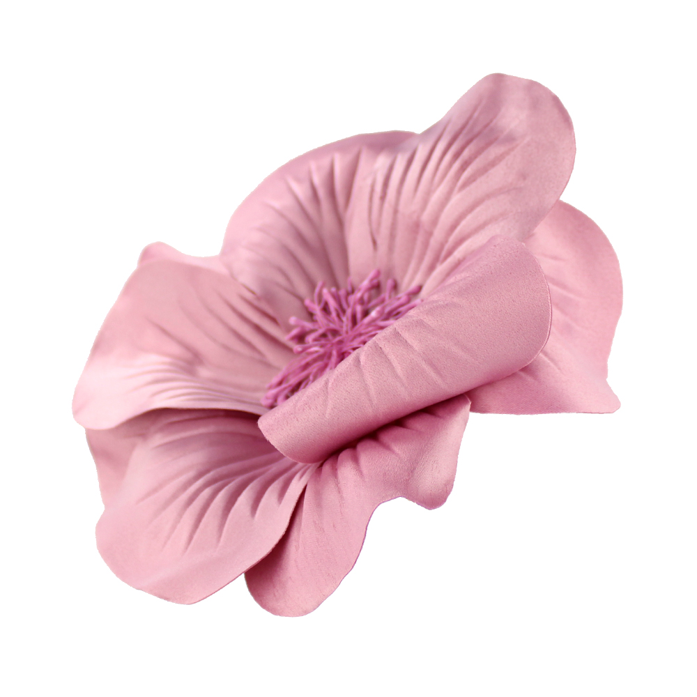FLEUR EVANSI rose FLEUR EVANSI rose