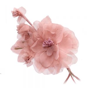 FLEUR MONIQUE rose