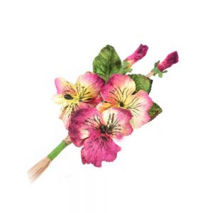FLEURS VELOURS 14X09CM bougainvillea