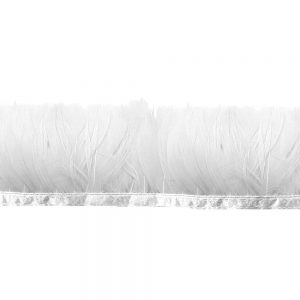 GALON PLUMES CANARD 05CM blanc
