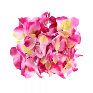 HORTENSIA 1820 rose2
