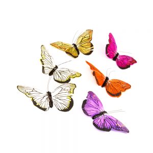 Mariposa de plumas 10 cm portada