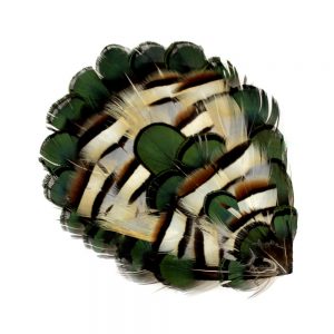 PADS PLUMES PERDRIX nature