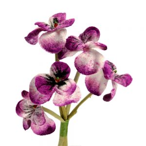 PETITES FLEURS VELOURS buganvilla