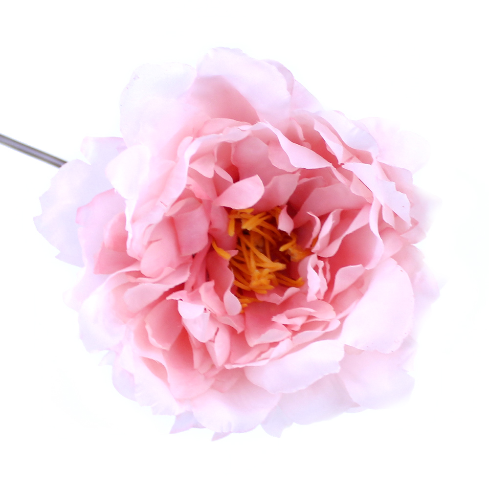 PIVOINE AMBER 14CM rose PIVOINE AMBER 14CM rose