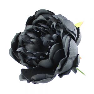 PIVOINE COLLECT fonce