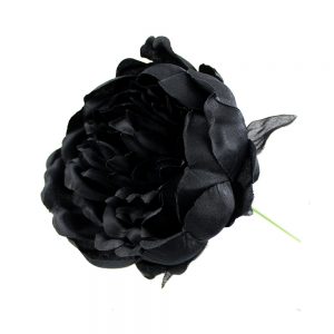 PIVOINE COLLECT noir