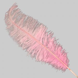 PLUME AUTRUCHE 40 50CM rose