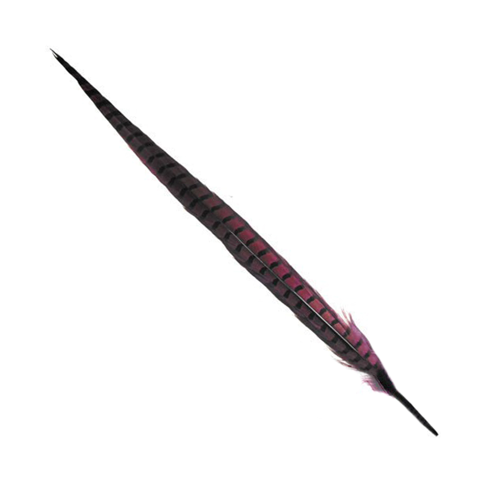 PLUME FAISAN 40 45CM bougainvillea PLUME FAISAN 40 45CM bougainvillea