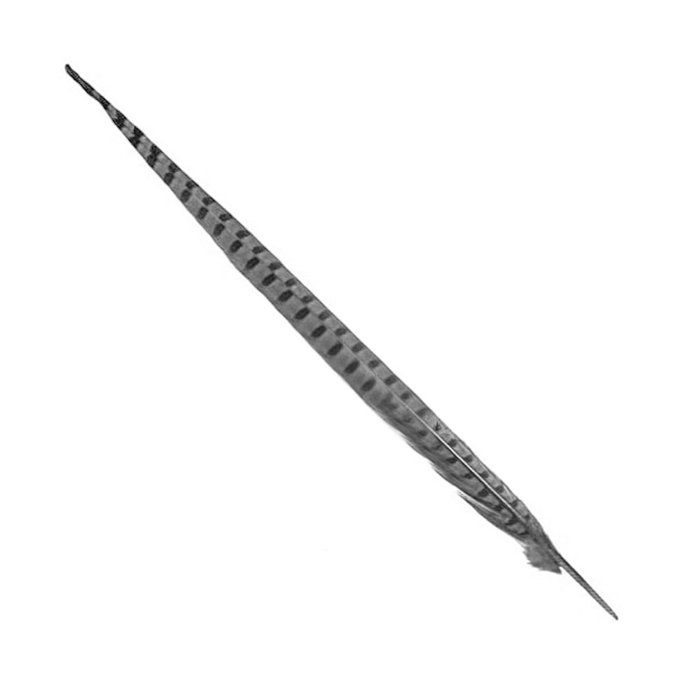 PLUME FAISAN 40 45CM grisclair PLUME FAISAN 40 45CM grisclair