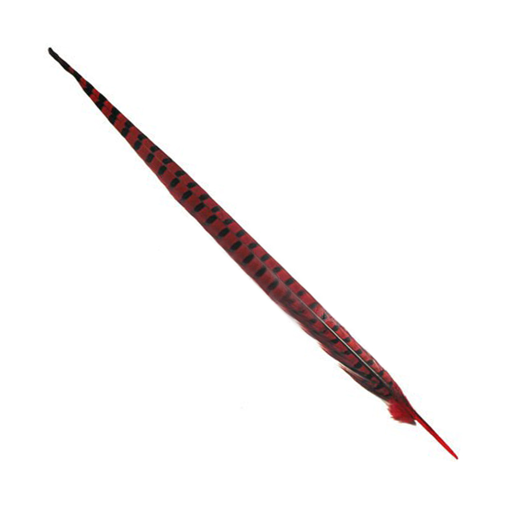 PLUME FAISAN 40 45CM rouge PLUME FAISAN 40 45CM rouge