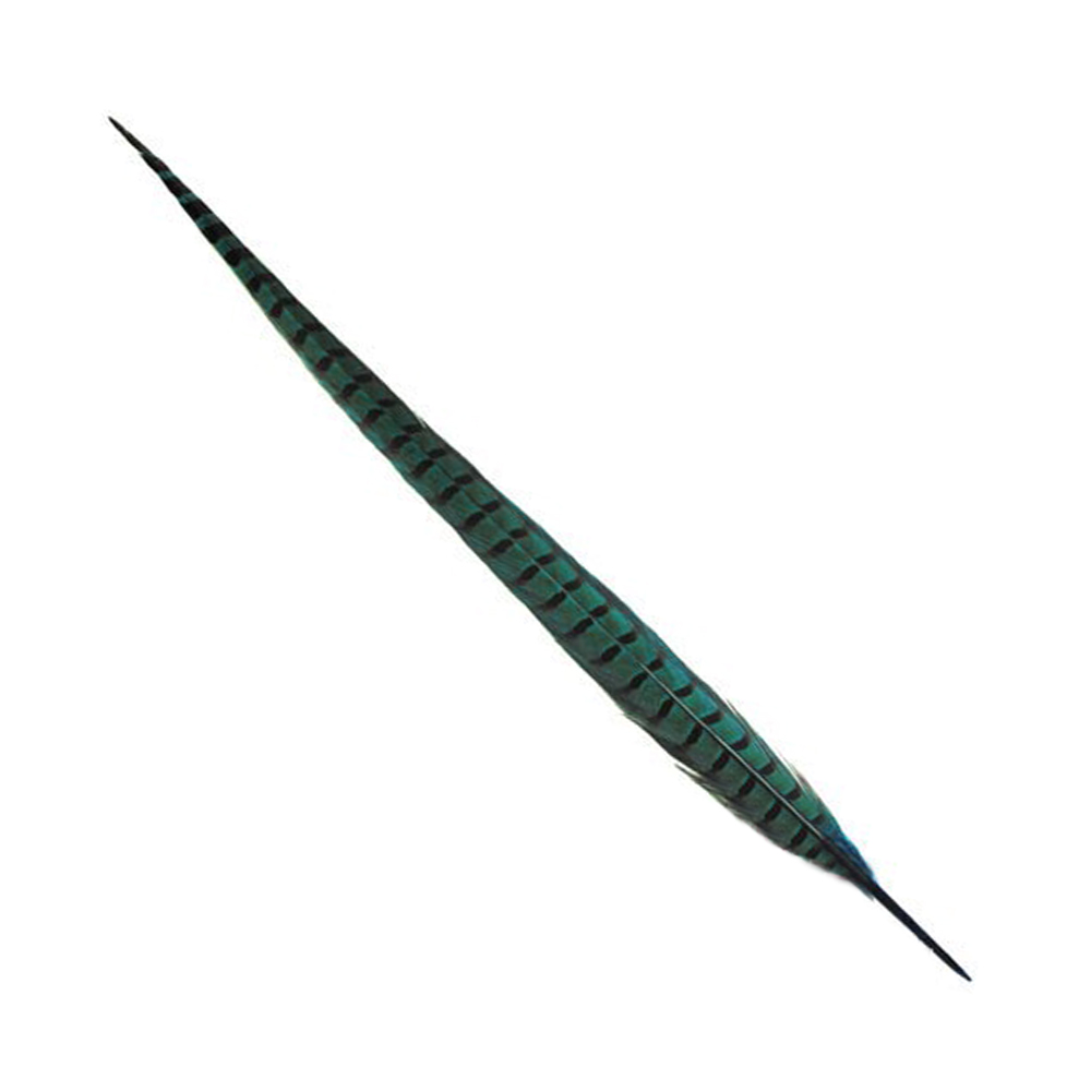 PLUME FAISAN 40 45CM turquoise PLUME FAISAN 40 45CM turquoise