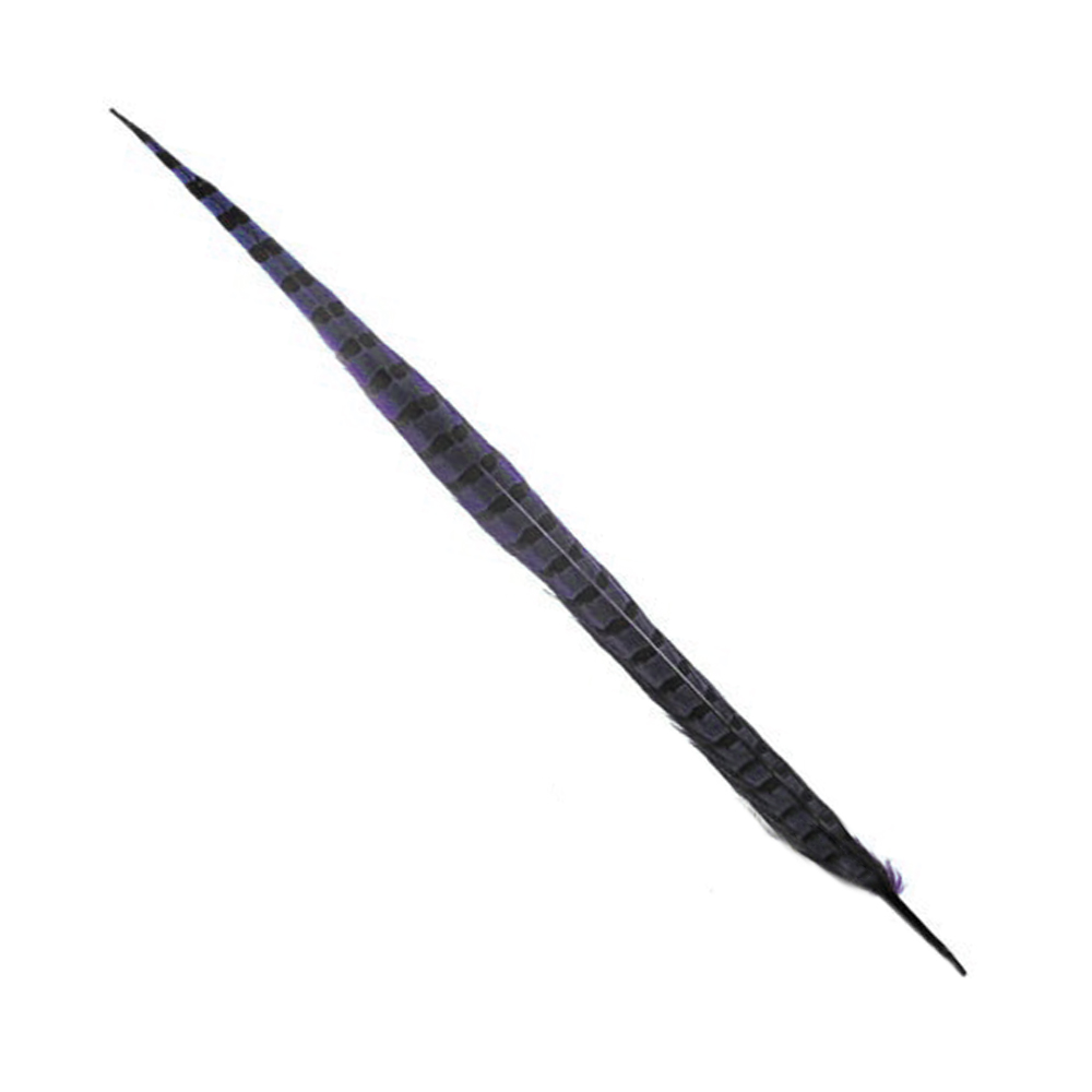 PLUME FAISAN 40 45CM violet PLUME FAISAN 40 45CM violet