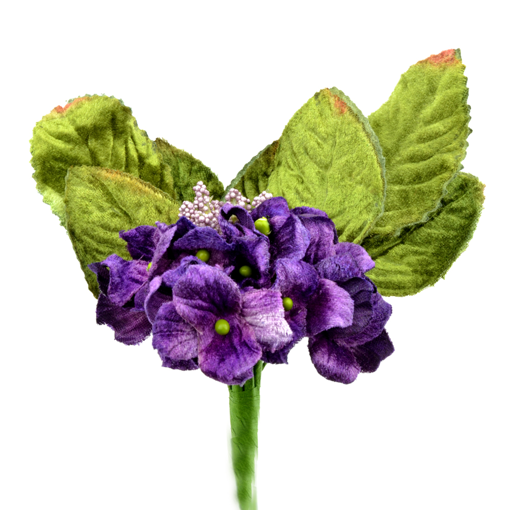 Petunia de terciopelo MORADO Petunia de terciopelo MORADO