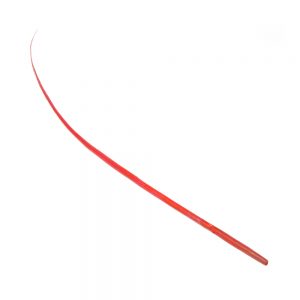 RACHIS AUTRUCHE 45CM rouge