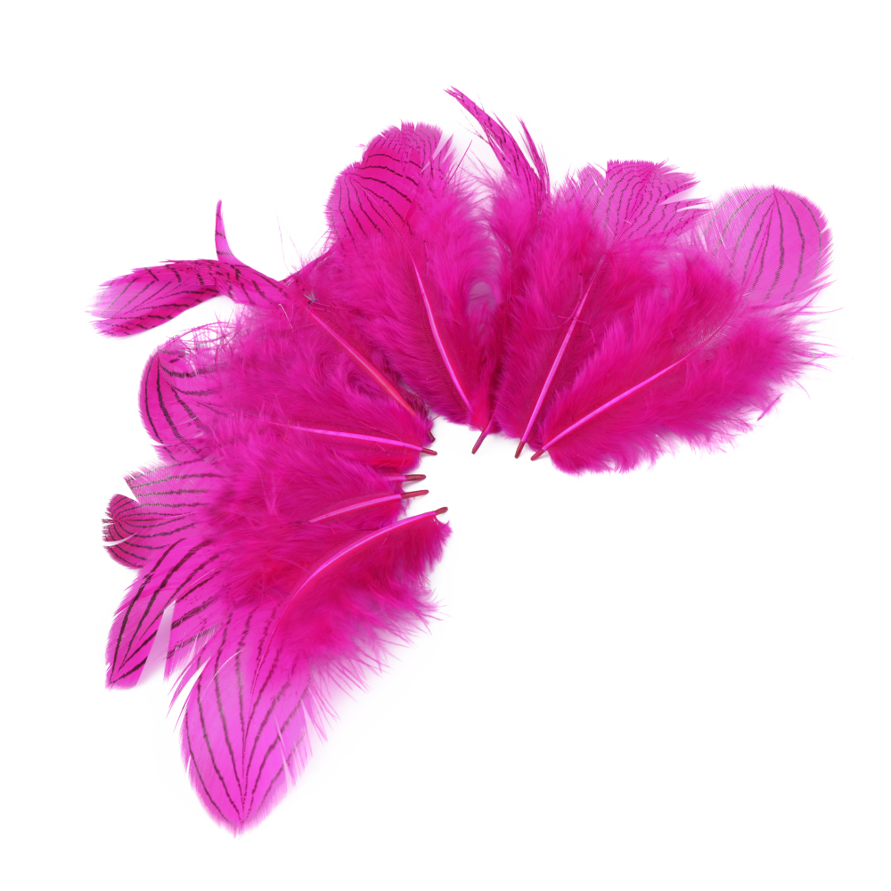 SACHET PLUMES FAISAN ARGENTÉES 08 10CM fuchsia SACHET PLUMES FAISAN ARGENTÉES 08 10CM fuchsia