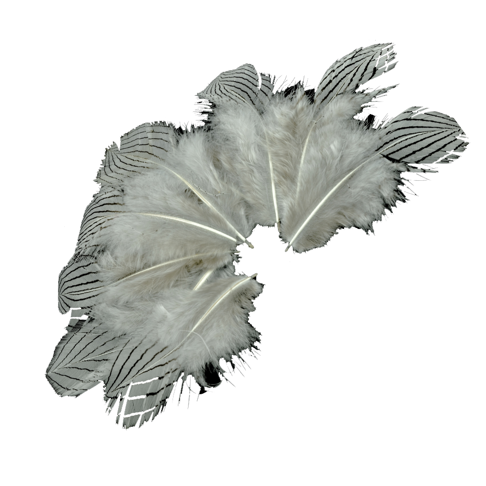 SACHET PLUMES FAISAN ARGENTÉES 08 10CM grisargente SACHET PLUMES FAISAN ARGENTÉES 08 10CM grisargente