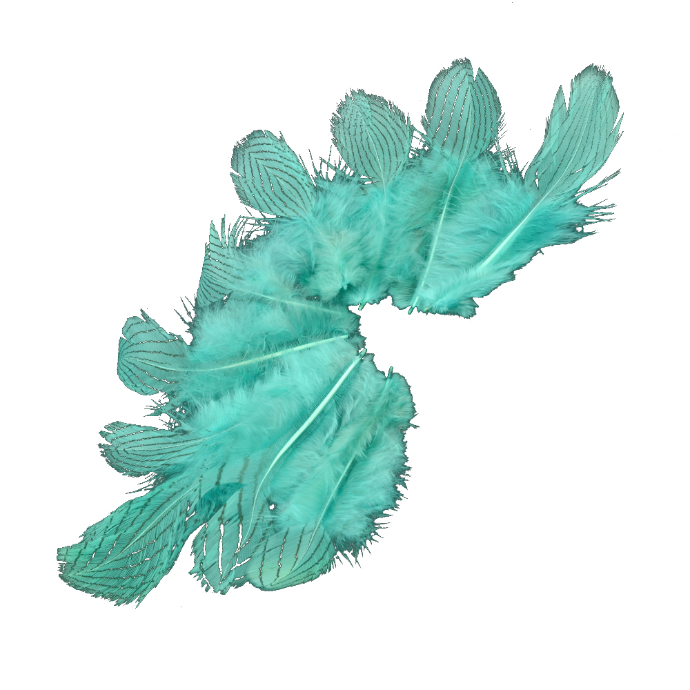 SACHET PLUMES FAISAN ARGENTÉES 08 10CM jade SACHET PLUMES FAISAN ARGENTÉES 08 10CM jade