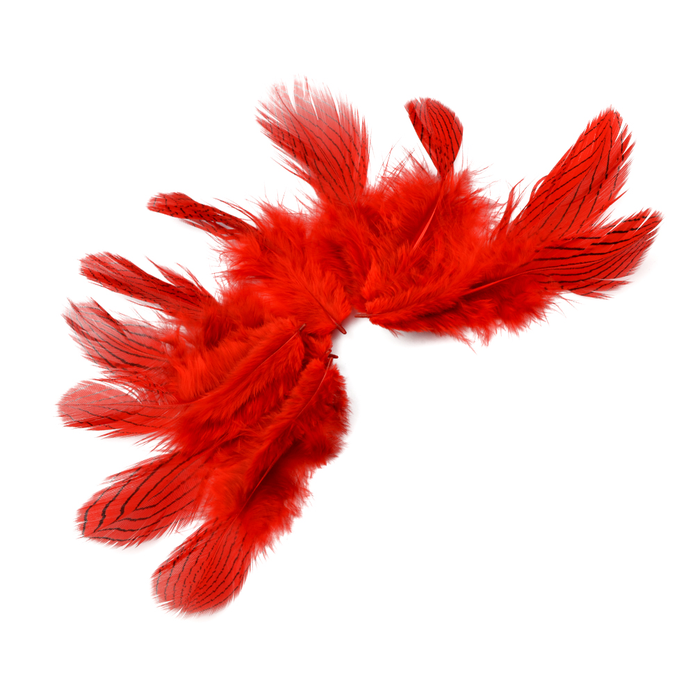 SACHET PLUMES FAISAN ARGENTÉES 08 10CM rouge SACHET PLUMES FAISAN ARGENTÉES 08 10CM rouge