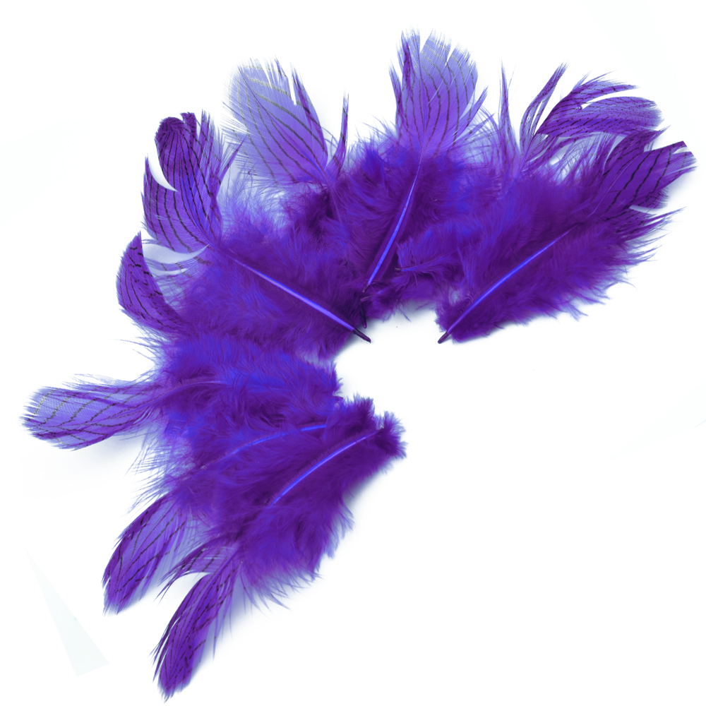 SACHET PLUMES FAISAN ARGENTÉES 08 10CM violet SACHET PLUMES FAISAN ARGENTÉES 08 10CM violet