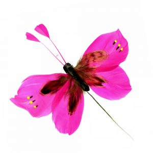 antenne plume de papillon fuchsia