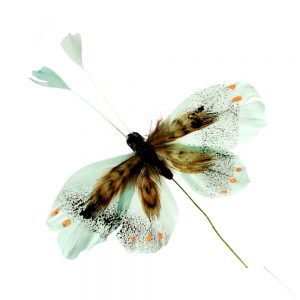 antenne plume de papillon vert eau