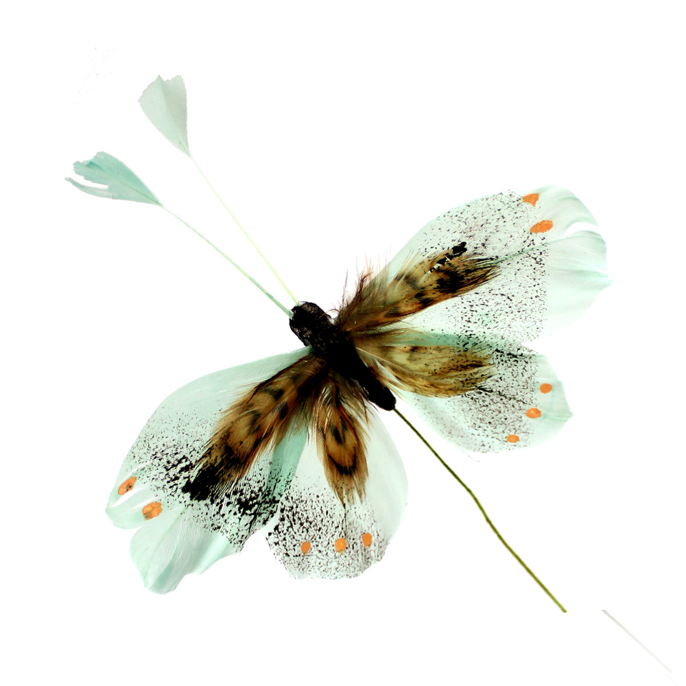 antenne plume de papillon vert eau antenne plume de papillon vert eau