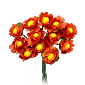 bouquet 12 mini marguerites orange