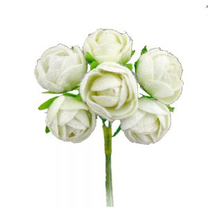 bouquet 6 roses suedine ecru