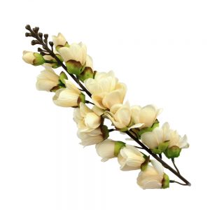 bouquet bella beige