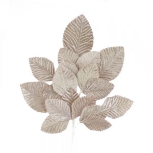 bouquet de feuilles dafne terre
