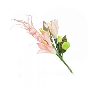 bouquet fruit et fleur rose bisque