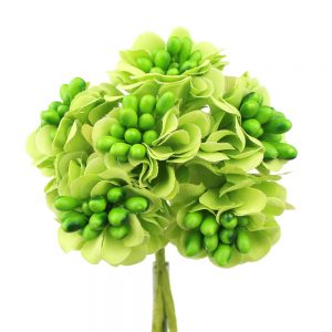 bouquet granadella vert citron