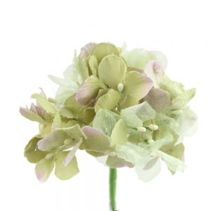 bouquet hortensia jana vert sec