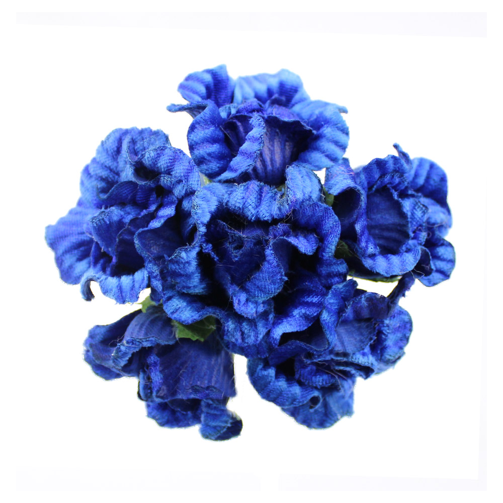 bouquet ory bleju klein bouquet ory bleju klein