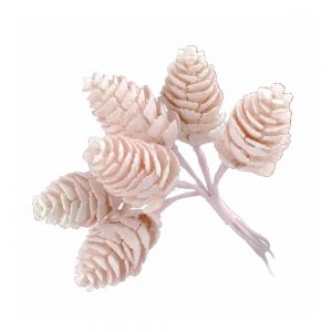 bouquet pineapple rose bisque