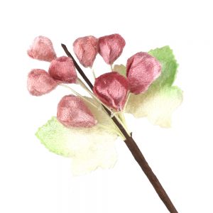 bouquet raisin velours corail