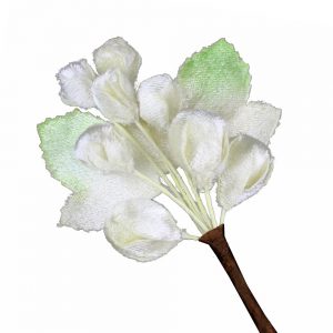 bouquet raisin velours ecru