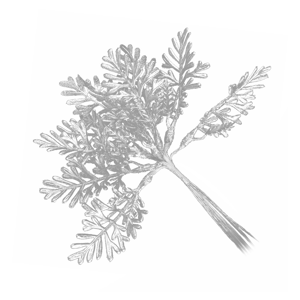 branches metalisees argent branches metalisees argent