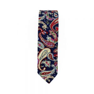 cravate antuan slim paisley 2