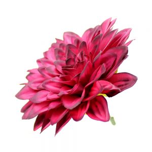 dahlia julia 16 cm bougainvillea