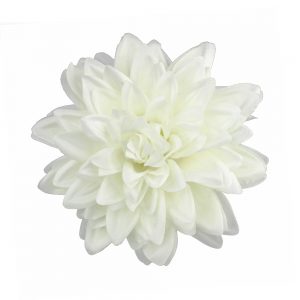 dahlia julia 16 cm ecru