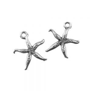 etoile de mer laiton argent