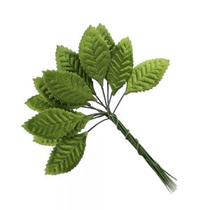 feuilles satin chaeto vert moyen