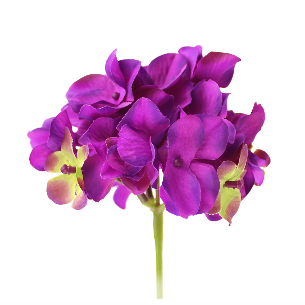 fleur alana violet 2 fleur alana violet 2