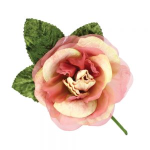 fleur antares ecru et rose