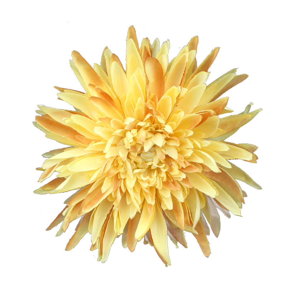 fleur chrysantheme beige fleur chrysantheme beige