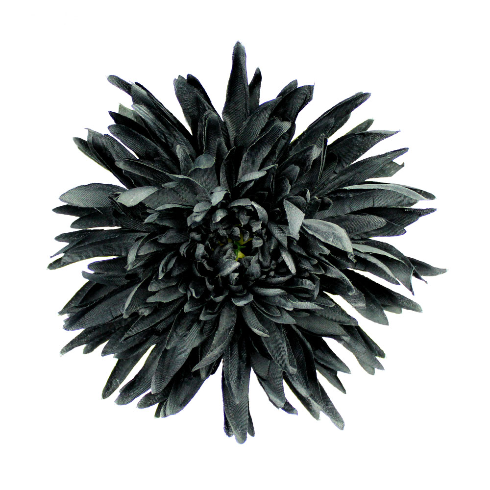 fleur chrysantheme noir fleur chrysantheme noir