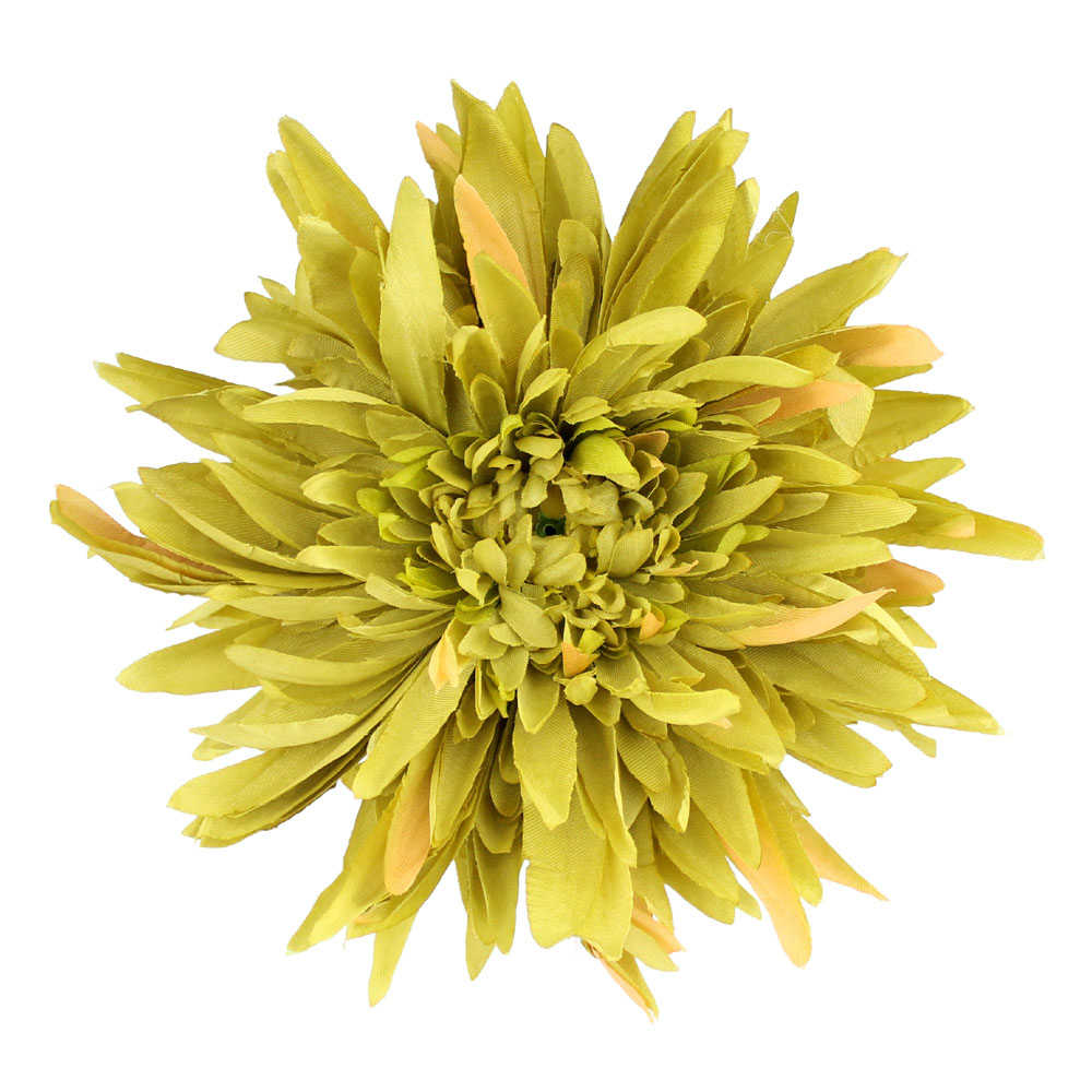 fleur chrysantheme vert clair fleur chrysantheme vert clair