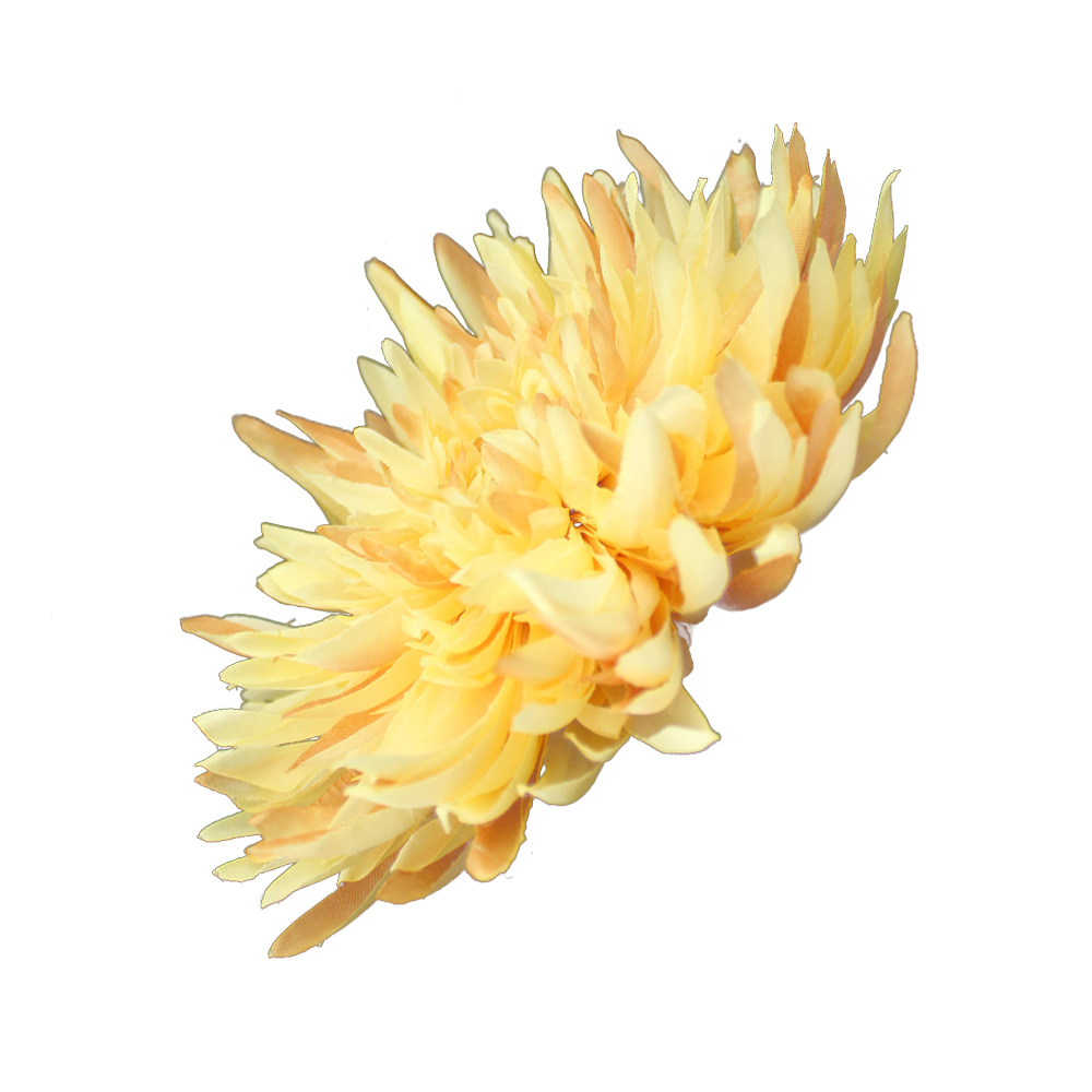 fleur chrysantheme fleur chrysantheme